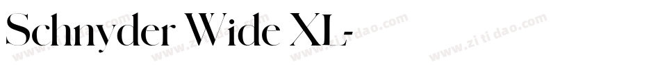 Schnyder Wide XL字体转换